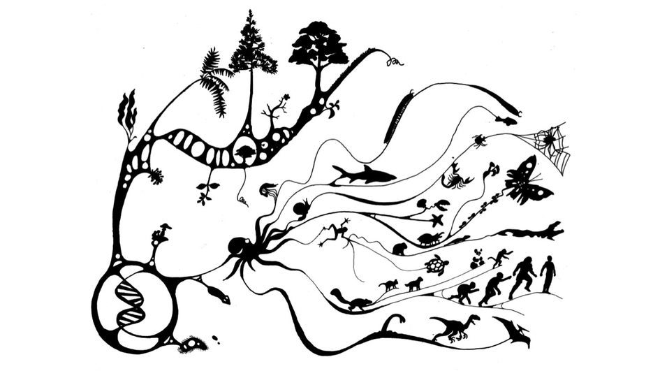 Christians Ask, “Why BioLogos?”