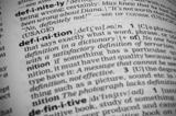 The Biological Meaning of Race