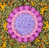 Is There Beauty in the Coronavirus?