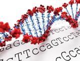 BioLogos Deletes an Article