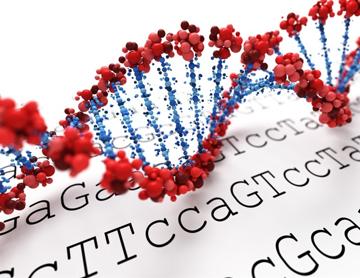 BioLogos Deletes an Article
