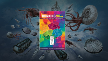 Thinking About Evolution...and Progressive Creation