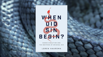 When Did Sin Begin?